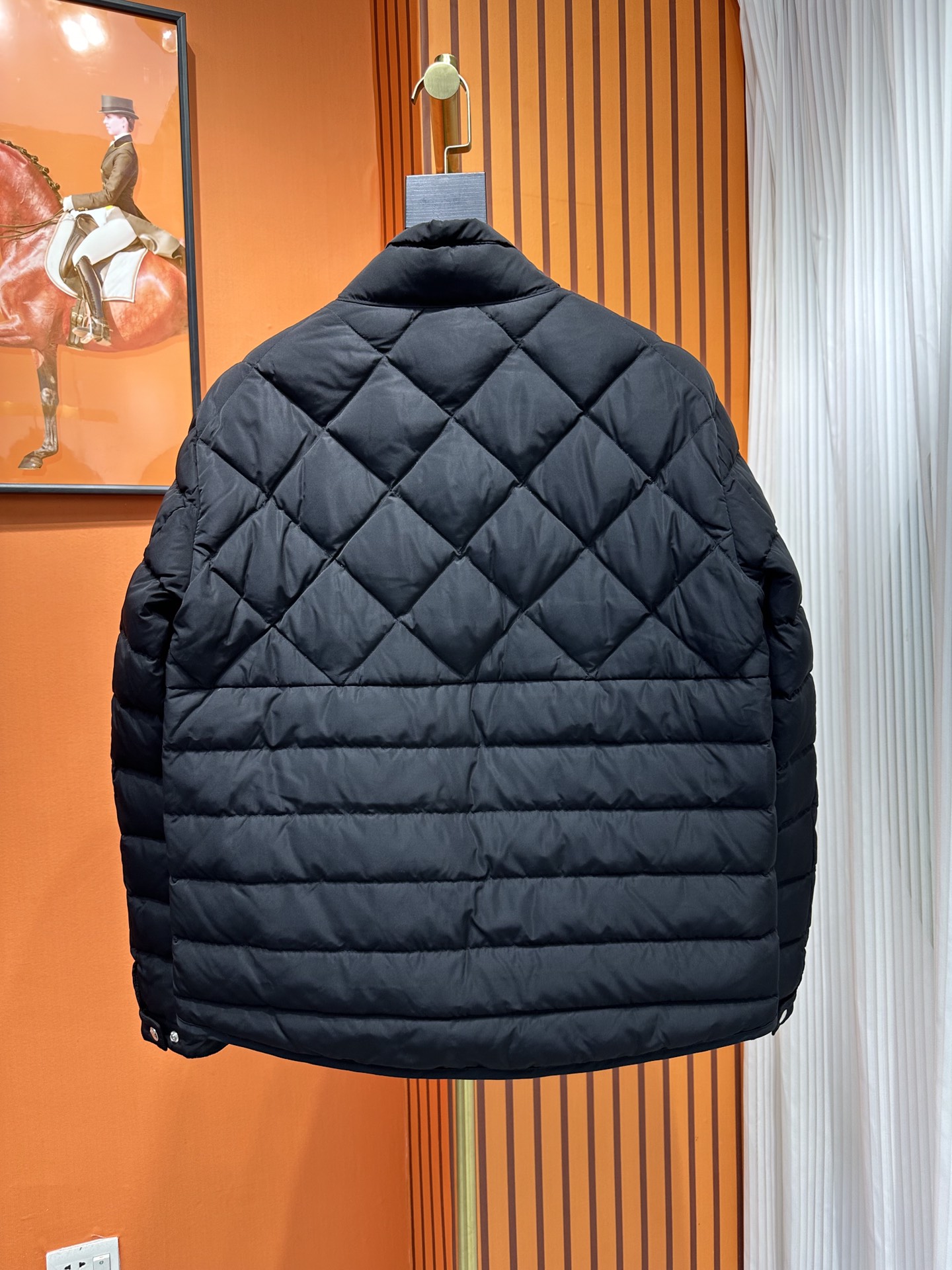 Moncler Down Jackets